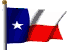 Texas Flag